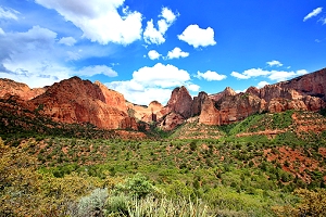 Navajo Land