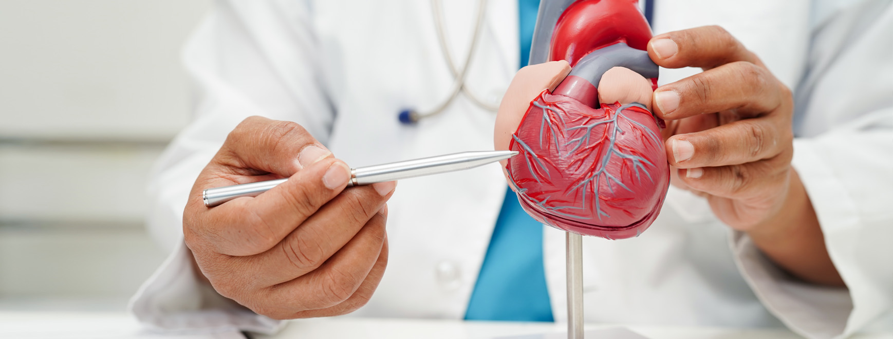 Cardiology