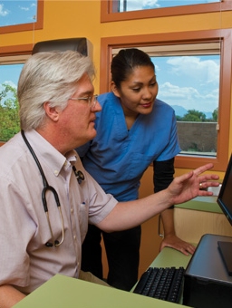 Doctor and nurse discussing information on computer.