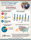 SDPI 2025 Infographic