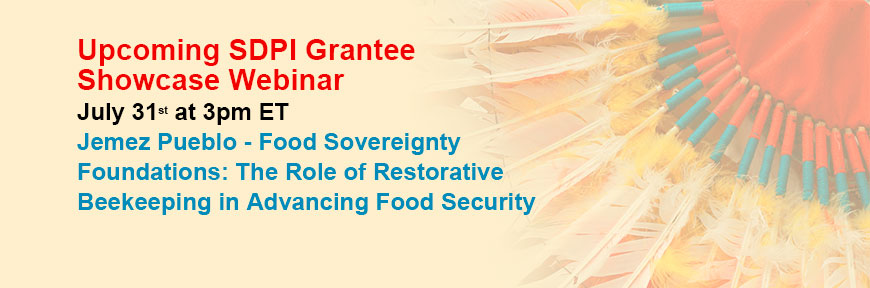 Upcoming SDPI Grantee Showcase Webinar: Jemez Pueblo - Food Sovereignty Foundations: The Role of Restorative Beekeeping in Advancing Food Security