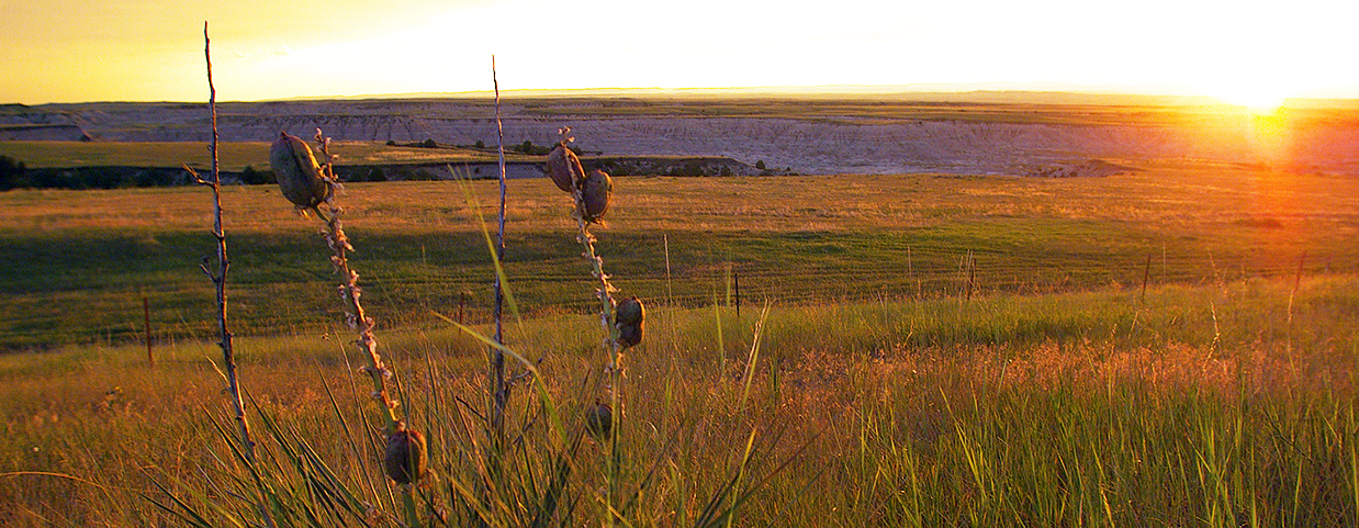 A sunset in South Dakota