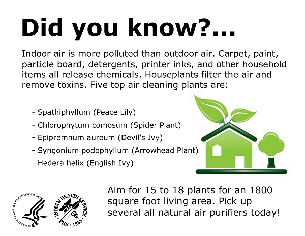 Did you know Indoor air is more polluted than outdoor air. Carpet, paint, particle board, detergents, printer inks, and other household items all release chemicals. Houseplants filter the air and remove toxins. Five top air cleaning plants are: Spathiphyllum (Peace Lily) - Chlorophytum comosum (Spider Plant) - Epipremnum aureum (Devil's Ivy) - Syngonium podophyllum (Arrowhead Plant) - Hedera helix (English Ivy). Aim for 15 to 18 plants for an 1800 square foot living area. Pick up several all natural air purifiers today!